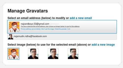 gravatar cms lokomedia