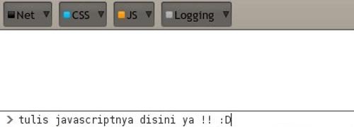 Tips Mengetahui Input Type Password di Firefox dengan Javascript